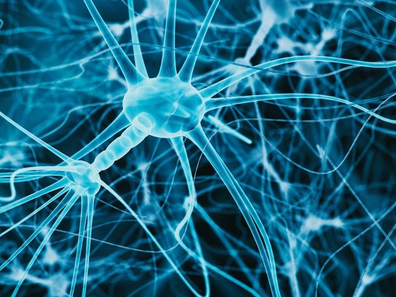 Rede de neurônios em close-up